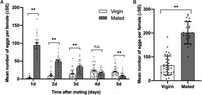 Role of Biogenic Amines in Oviposition by the Diamondback Moth, Plutella xylostella L